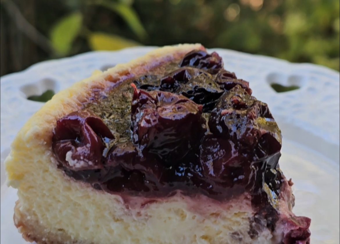 cheesecake fondant cerises noires part profil