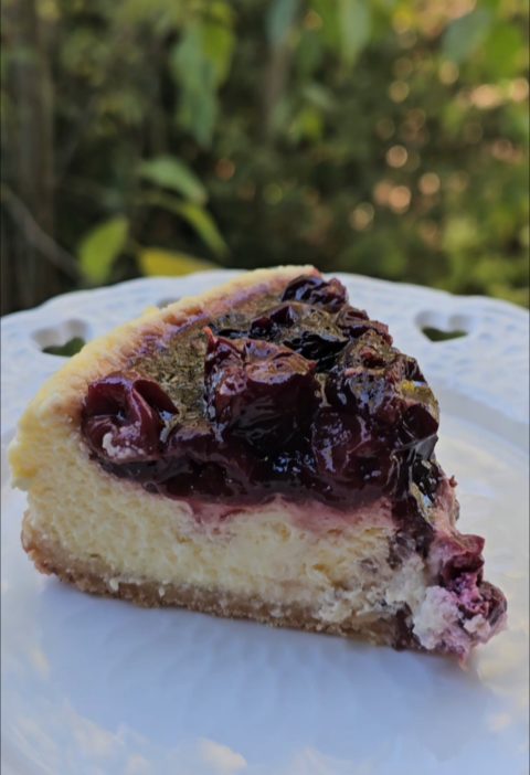 cheesecake fondant cerises noires part profil